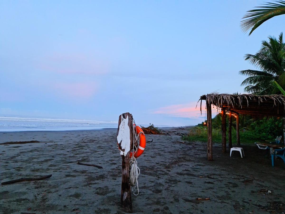 Show Pony Beach Resort And Suites Las Lajas  Exterior foto