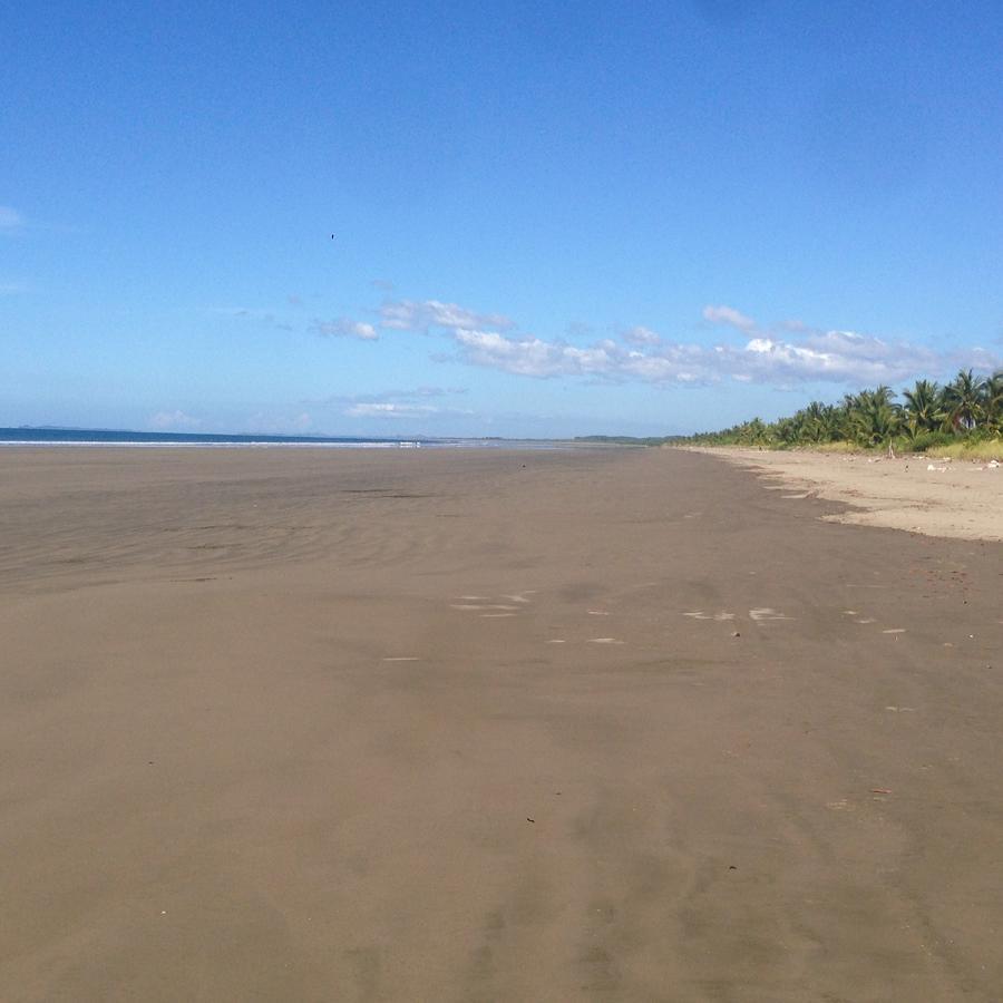 Show Pony Beach Resort And Suites Las Lajas  Exterior foto