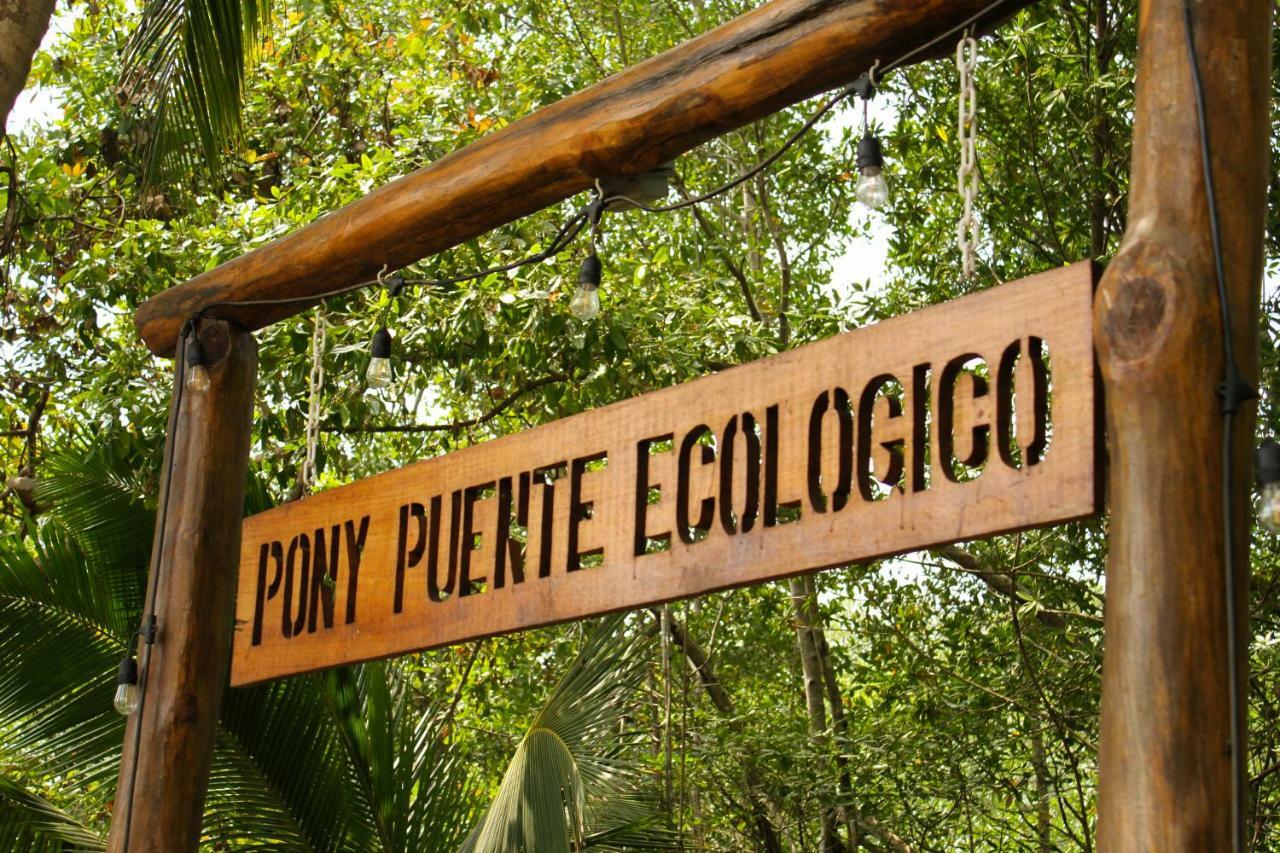 Show Pony Beach Resort And Suites Las Lajas  Exterior foto
